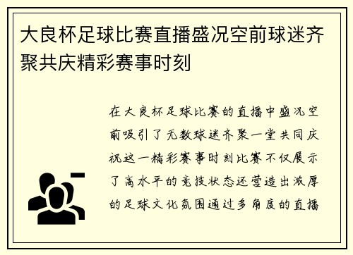 大良杯足球比赛直播盛况空前球迷齐聚共庆精彩赛事时刻